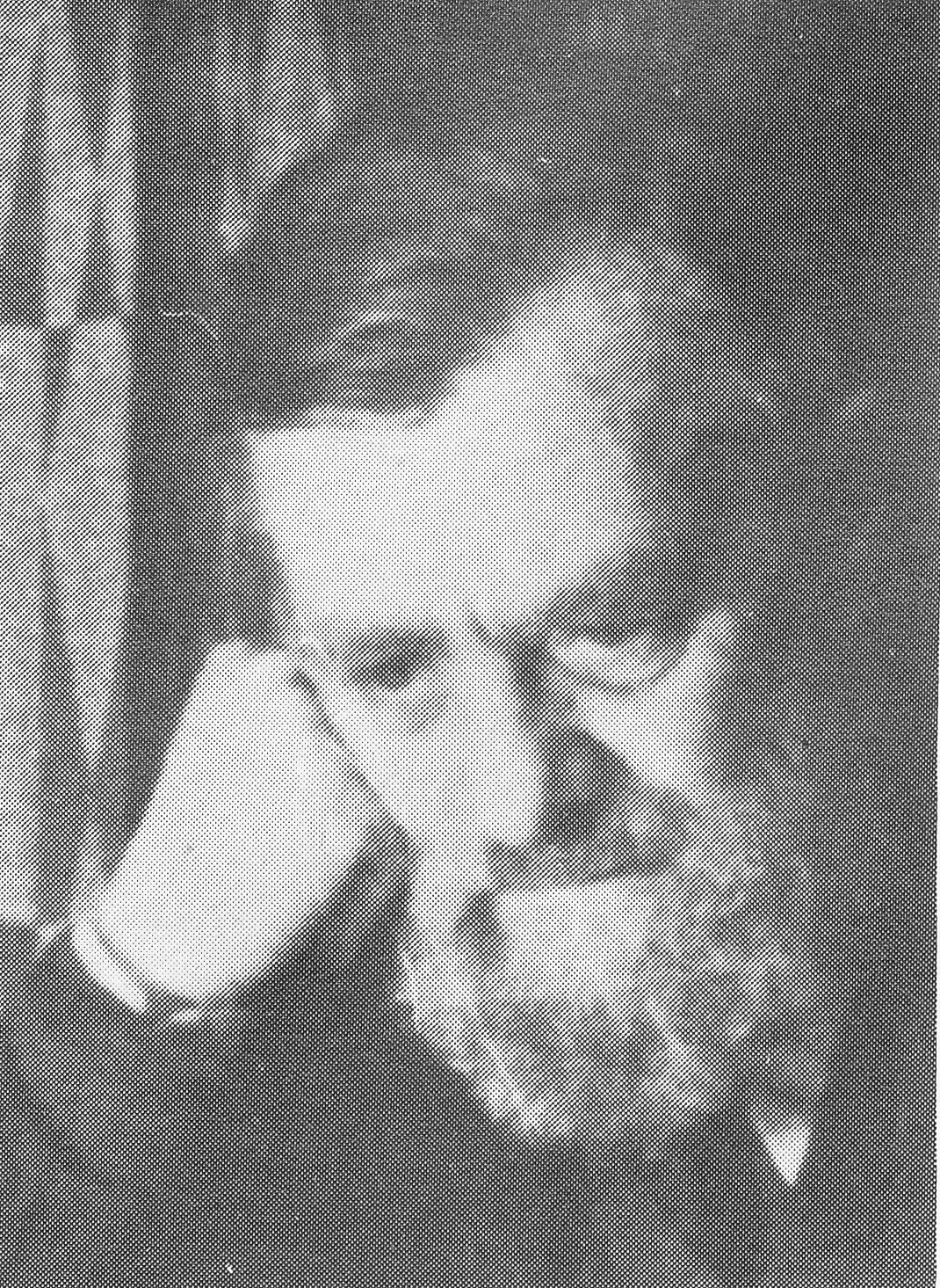 IMG.jpg