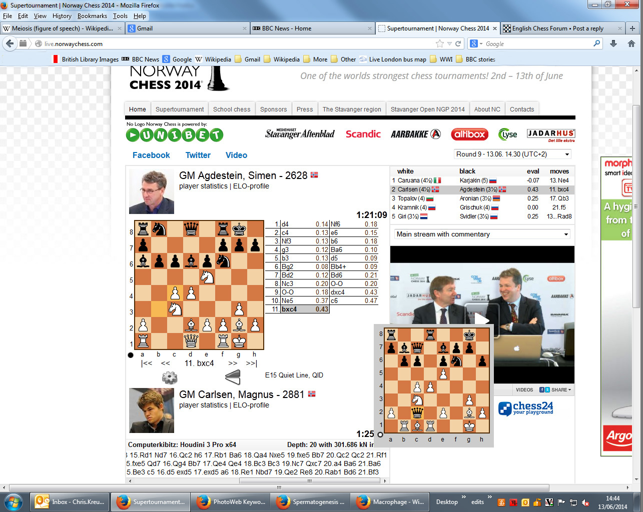 Norway chess (bizarre).jpg